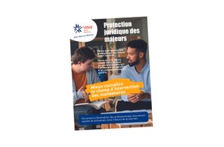 Flyer "Mieux connaître le champ d’intervention des mandataires"Mieux connaître le champ d’intervention des mandataires"